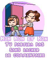 commentaire